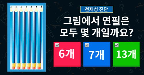 [천재성 진단] 연필은 모두 몇 개인가요?
